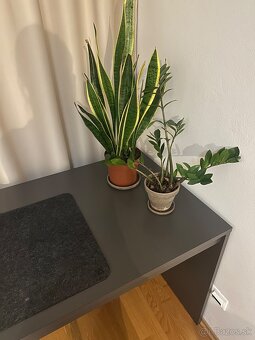 Písací stol 160x66 - 4
