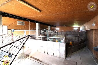 HALO reality - Predaj, výrobný priestor - farma, Želiezovce - 4