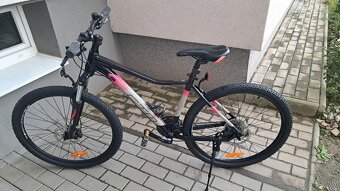 CTM Charisma 3.0. - 4