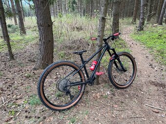 On One Hello Dave - 4