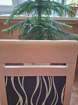 jedálenské stoličky - 4