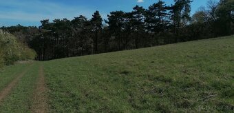 Farmárčenie - Horné Bzince - 4