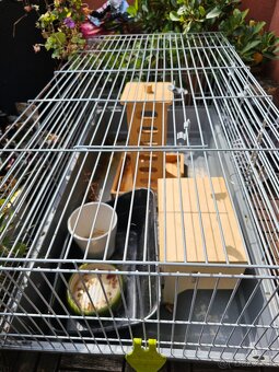 Klietka s výbavou pre morské prasiatka a iné - 4