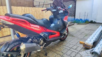 Gilera Nexus 500 - 4