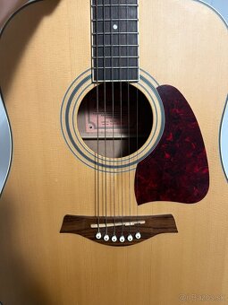 Gitara Richwood Artist Series - 4
