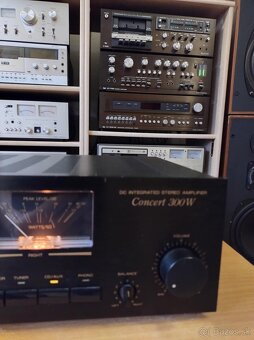 wangine HVA-8030 concert - 4