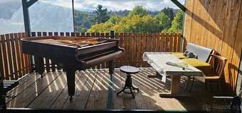 Piano kridlo broz - 4