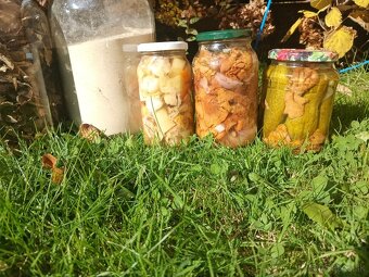 Sušené hríby huby hribiky - 4