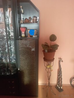 Predám obývaciu stenu - 4