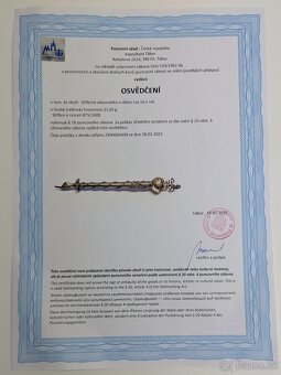 Predám židovský ukazovák (jad)... - 4
