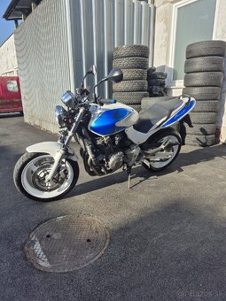 Honda CB 600f Hornet (25 Kw) - 4