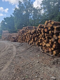 Dubové drevo_Vykurovanie_Predaj_Doprava_19112025 - 4