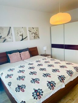 Na prenájom 2i PET Friendly byt na Bratislavskom Vtáčniku - 4