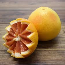 Citricidal silný koncentrát, Nutribiotic - VIANOČNÁ ZĽAVA - 4