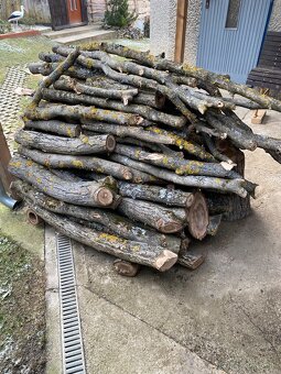 Predám čerstvé orechové drevo - 4