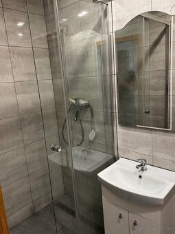 Prenajmem 1izbovy byt - 4