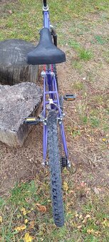 Starsi bicykel CANGURO - 4