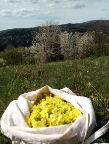 Sušené bylinky a šípky - 4