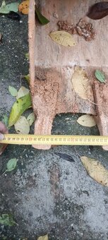 Minibager Yanmar B14 - 4