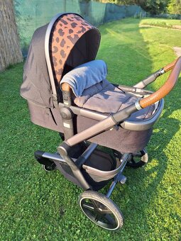 Kočik Joolz Day + Tailor - 4