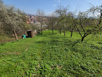 Záhradka Pod Kalváriou - 4