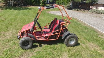 Predam Buggy 110cm3 - 4