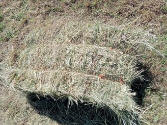 Predám Horské seno v malých balíkoch cena za balík 3,50-eur. - 4
