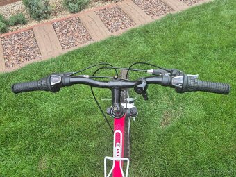 CTM WILLY , velkost kolies 24 palcov - 4