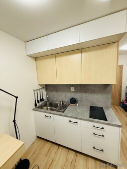 Banska Bystrica -centrum-zrekonštruovaná garzónka-predám - 4