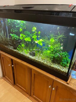 Akvárium 275 L s osvetľovacim krytom - 4