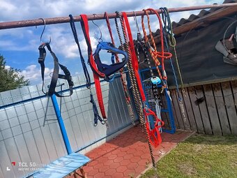 Německý ovčák - 4