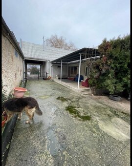 Dom s veľkým pozemkom + veľké priestory - 4