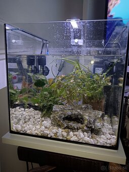 Akvárium 30L - 4