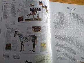 Obrazová encyklopedie koní (česky) - 20 eur - 4