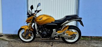 Hornet 600 25kW v TP - 4