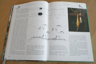 Rybárstvo – Lov dravých rýb na prívlač - 4