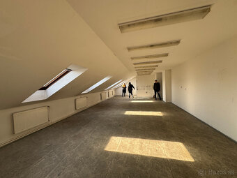 Ateliér s kúpelňou a záhradou - 4