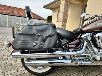 Xv 1600 wild star - 4