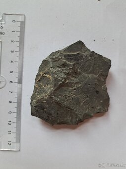 Zbierka fosílií - 4