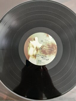 Cocteau Twins - Treasure - 4