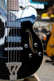 Washburn AB-95 - 4