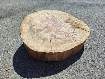 dubové koláče, priečne rezy - 4