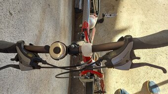 Pánsky bicykel Dominátor Detroit - 4