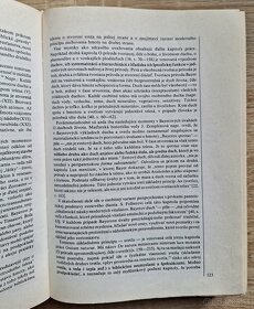 Dejiny filozofickeho myslenia na Slovensku I. - 4