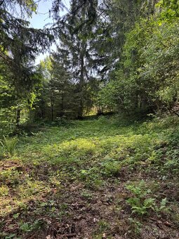 Pozemok pod mobilný dom v krásnom prostredí /608 m2/, Žilina - 4