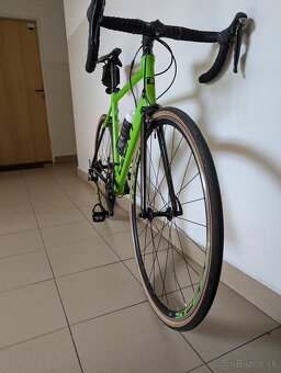DEMA LEONY 5 2020 - 4