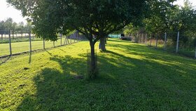 Hotel pre Psov a mačky - výcvik psov - 4