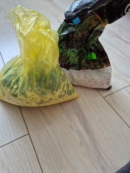 Akvarium - 4