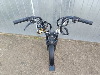 Predok manet Korado - 4