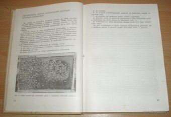 Chov včelích matiek - 4